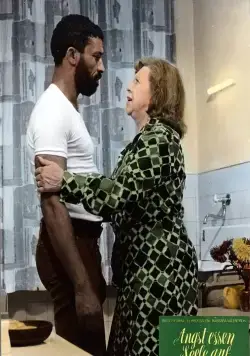 Страх съедает душу (1974) через торрент скачать Страх съедает душу (1974) фильм через торрент скачать