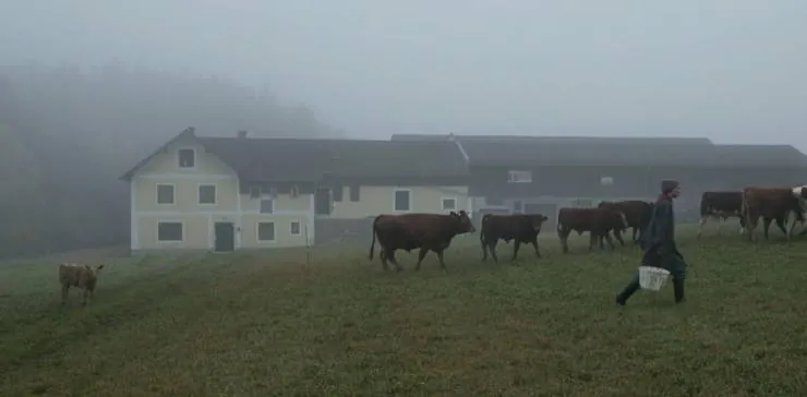 Солдат Жаннетт (2013) через торрент скачать Солдат Жаннетт (2013) фильм через торрент скачать