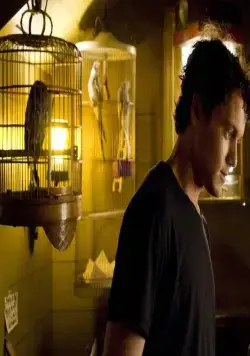 Странный Томас (2013) через торрент скачать Странный Томас (2013) фильм через торрент скачать