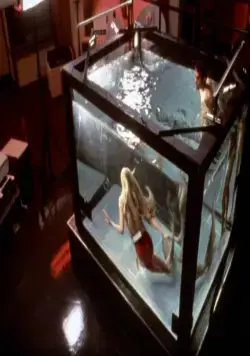 Всплеск (1984) через торрент скачать Всплеск (1984) фильм через торрент скачать