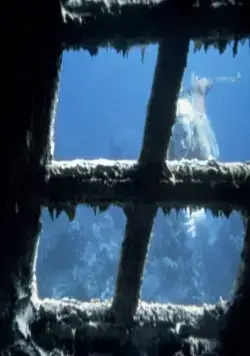 Всплеск (1984) в хорошем качестве через торрент Всплеск (1984) фильм в хорошем качестве через торрент