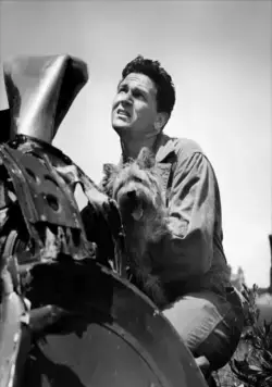 Военно-воздушные силы (1943) через торрент скачать Военно-воздушные силы (1943) фильм через торрент скачать