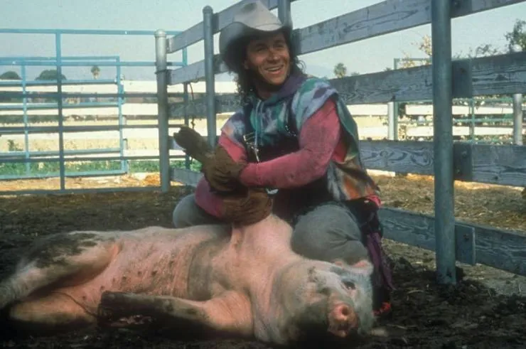 Зятек (1993) через торрент скачать Зятек (1993) фильм через торрент скачать