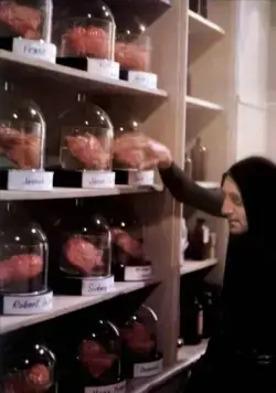 Молодой Франкенштейн (1974) через торрент скачать Молодой Франкенштейн (1974) фильм через торрент скачать