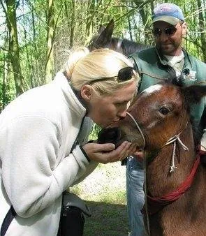 Рожденный свободным (2005) через торрент бесплатно Рожденный свободным (2005) фильм через торрент бесплатно