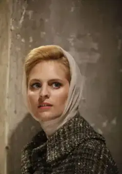 Вне закона (2010) через торрент скачать Вне закона (2010) фильм через торрент скачать