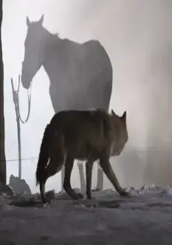 Старик (2012) в хорошем качестве через торрент Старик (2012) фильм в хорошем качестве через торрент