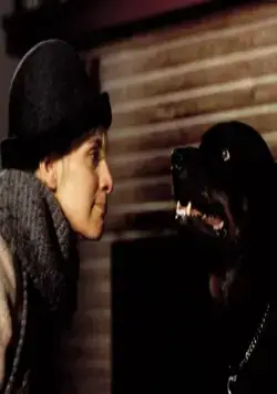 Нужные вещи (1993) через торрент бесплатно Нужные вещи (1993) фильм через торрент бесплатно