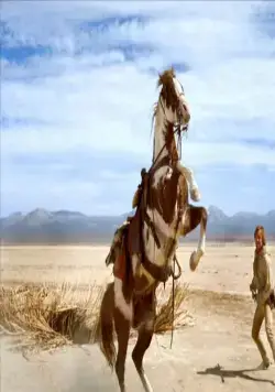 Идальго: Погоня в пустыне (2004) через торрент скачать Идальго: Погоня в пустыне (2004) фильм через торрент скачать