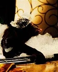 Появляется Данстон (1996) через торрент бесплатно Появляется Данстон (1996) фильм через торрент бесплатно