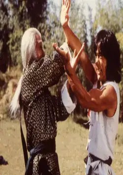 Бесстрашная гиена (1979) через торрент скачать Бесстрашная гиена (1979) фильм через торрент скачать