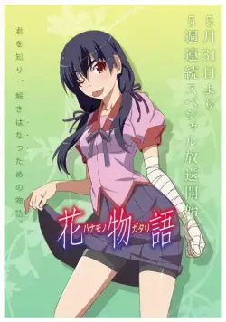 История цветов / Hanamonogatari 2014 скачать через торрент cериал мультфильм аниме в хорошем качестве