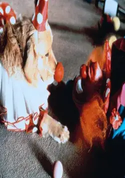 Король воздуха (1997) в хорошем качестве через торрент Король воздуха (1997) фильм в хорошем качестве через торрент