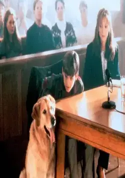 Король воздуха (1997) через торрент скачать Король воздуха (1997) фильм через торрент скачать