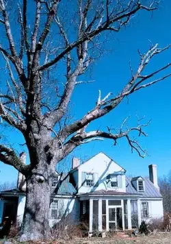 Убийства в Черри-Фолс (2000) в хорошем качестве через торрент Убийства в Черри-Фолс (2000) фильм в хорошем качестве через торрент