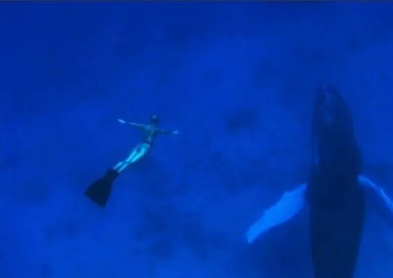 Бухта (2009) через торрент бесплатно Бухта (2009) фильм через торрент бесплатно