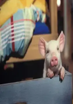 Руди – гончий поросенок (2007) в хорошем качестве через торрент Руди – гончий поросенок (2007) фильм в хорошем качестве через торрент