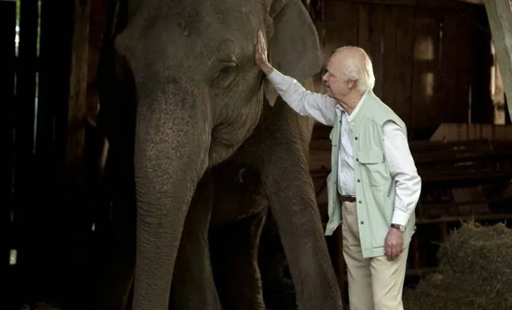 Столетний старик, который вылез в окно и исчез (2013) через торрент скачать Столетний старик, который вылез в окно и исчез (2013) фильм через торрент скачать