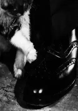 Третий человек (1949) через торрент бесплатно Третий человек (1949) фильм через торрент бесплатно