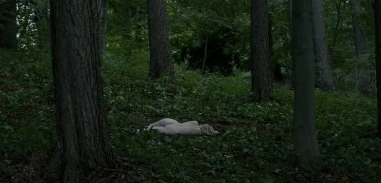 Мистериум. Убийцы фазана (2014) через торрент бесплатно Мистериум. Убийцы фазана (2014) фильм через торрент бесплатно