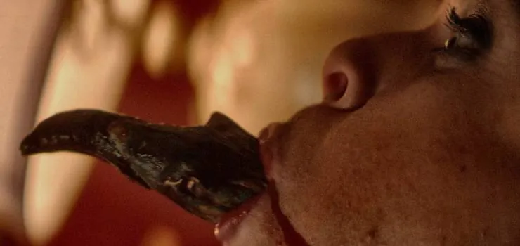 Чёрная комната (2017) через торрент бесплатно Чёрная комната (2017) фильм через торрент бесплатно