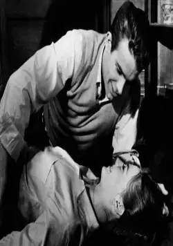 Великолепие в траве (1961) в хорошем качестве через торрент Великолепие в траве (1961) фильм в хорошем качестве через торрент