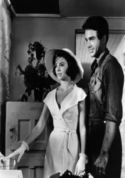 Великолепие в траве (1961) через торрент бесплатно Великолепие в траве (1961) фильм через торрент бесплатно