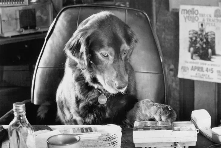 Флюк (1995) в хорошем качестве через торрент Флюк (1995) фильм в хорошем качестве через торрент