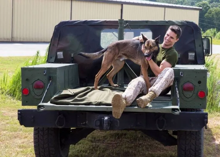 Макс (2015) через торрент скачать Макс (2015) фильм через торрент скачать