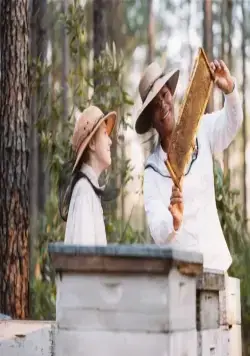 Тайная жизнь пчёл (2008) через торрент скачать Тайная жизнь пчёл (2008) фильм через торрент скачать