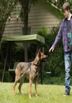 Макс (2015) в хорошем качестве через торрент Макс (2015) фильм в хорошем качестве через торрент