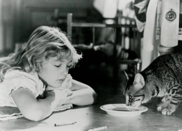 Кошачий глаз (1985) через торрент бесплатно Кошачий глаз (1985) фильм через торрент бесплатно