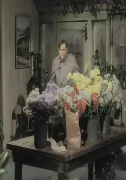 Магазинчик ужасов (1960) в хорошем качестве через торрент Магазинчик ужасов (1960) фильм в хорошем качестве через торрент