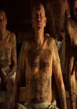 Сибирское воспитание (2012) через торрент скачать Сибирское воспитание (2012) фильм через торрент скачать