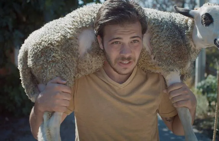 Мертвая лошадь Небула (2018) через торрент бесплатно Мертвая лошадь Небула (2018) фильм через торрент бесплатно