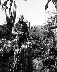 Сокровища Сьерра Мадре (1947) через торрент бесплатно Сокровища Сьерра Мадре (1947) фильм через торрент бесплатно