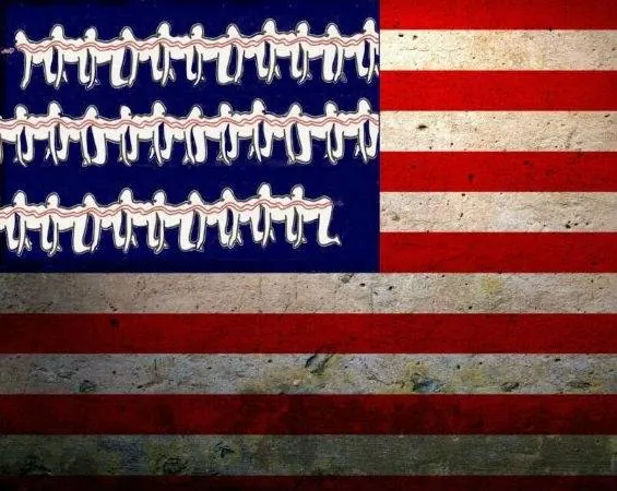 Человеческая многоножка 3 (2015) в хорошем качестве через торрент Человеческая многоножка 3 (2015) фильм в хорошем качестве через торрент