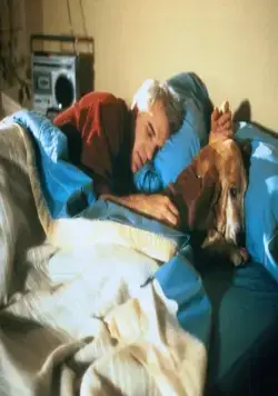 Одинокий парень (1984) в хорошем качестве через торрент Одинокий парень (1984) фильм в хорошем качестве через торрент