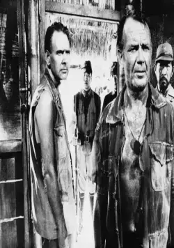 Король крыс (1965) через торрент бесплатно Король крыс (1965) фильм через торрент бесплатно