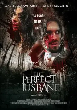 Идеальный муж / The Perfect Husband (2014) фильм скачать через торрент в хорошем качестве