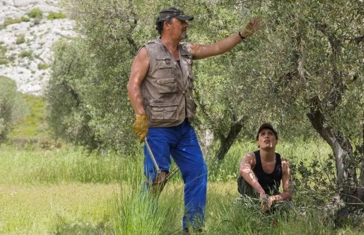 Каникулы в Провансе (2014) через торрент скачать Каникулы в Провансе (2014) фильм через торрент скачать