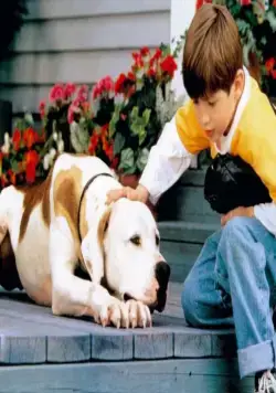 Дорога домой 2: Затерянные в Сан-Франциско (1996) через торрент бесплатно Дорога домой 2: Затерянные в Сан-Франциско (1996) фильм через торрент бесплатно