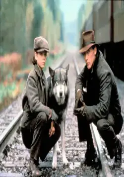 Путешествие Нэтти Ганн (1985) через торрент бесплатно Путешествие Нэтти Ганн (1985) фильм через торрент бесплатно