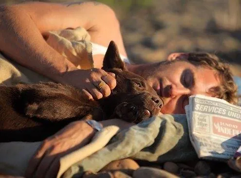 Рыжий пес (2011) через торрент бесплатно Рыжий пес (2011) фильм через торрент бесплатно