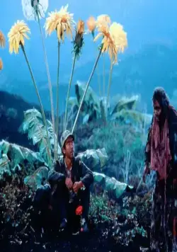 Сны Акиры Куросавы (1990) через торрент скачать Сны Акиры Куросавы (1990) фильм через торрент скачать