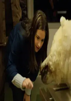 Оттепель (2009) через торрент бесплатно Оттепель (2009) фильм через торрент бесплатно