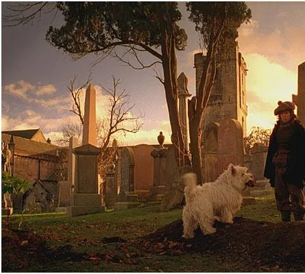 Малыш Бобби (2005) через торрент бесплатно Малыш Бобби (2005) фильм через торрент бесплатно