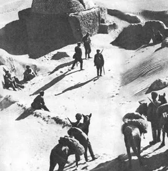 Тринадцать (1936) через торрент скачать Тринадцать (1936) фильм через торрент скачать