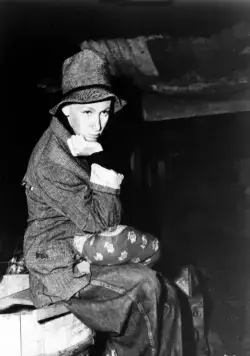 Странствия Салливана (1941) через торрент бесплатно Странствия Салливана (1941) фильм через торрент бесплатно