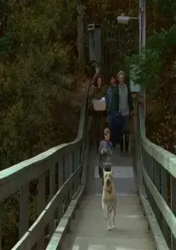 Далеко от дома: Приключения желтого пса (1994) через торрент скачать Далеко от дома: Приключения желтого пса (1994) фильм через торрент скачать